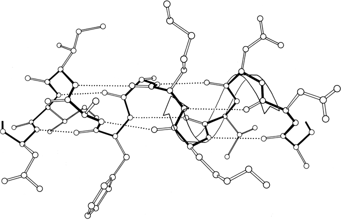 alpha-helix