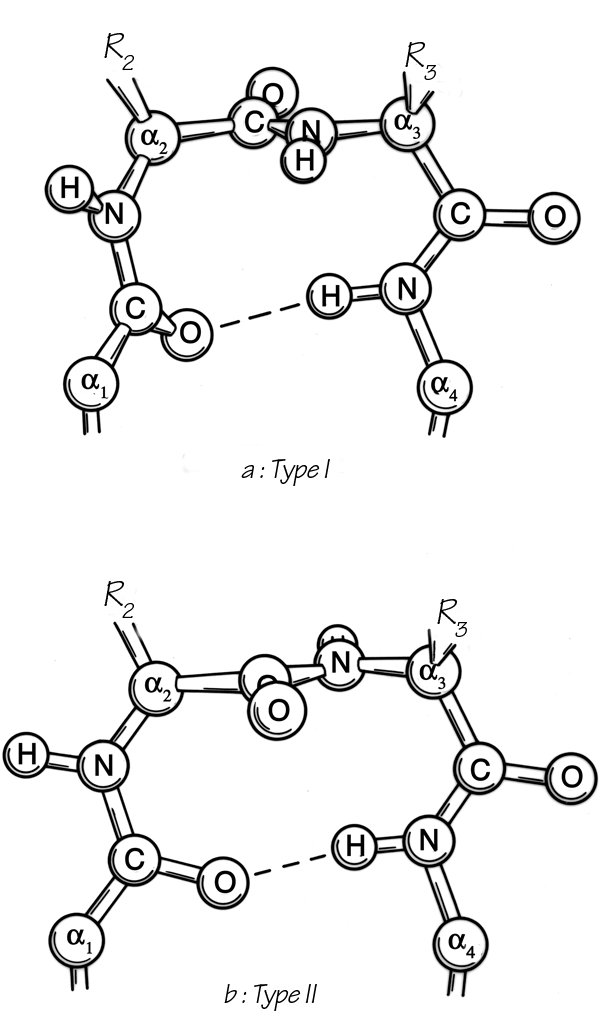 Fig 30