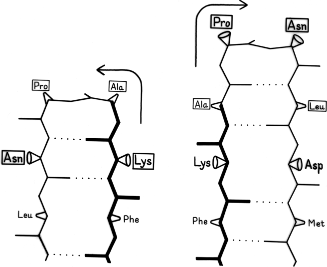 Fig 39