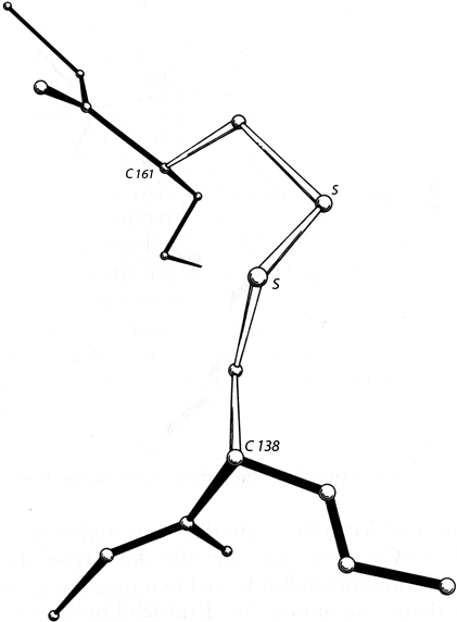 Fig 50