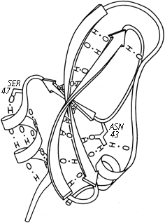 Fig 53