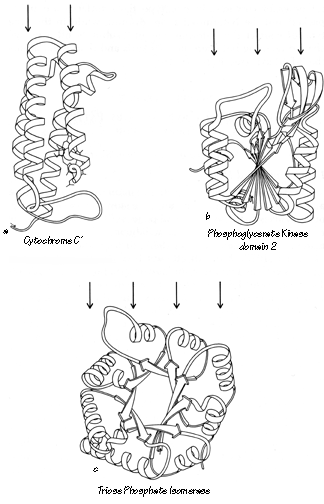 Fig71