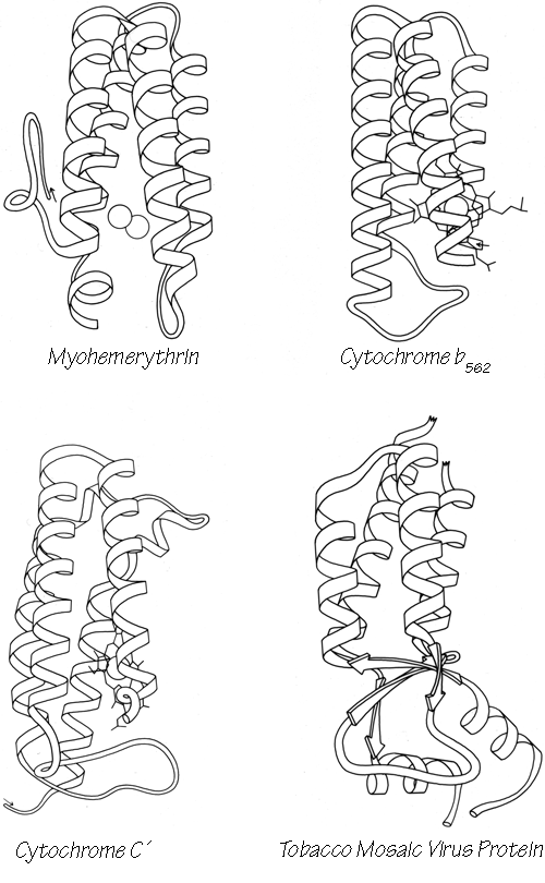 Fig 72-1