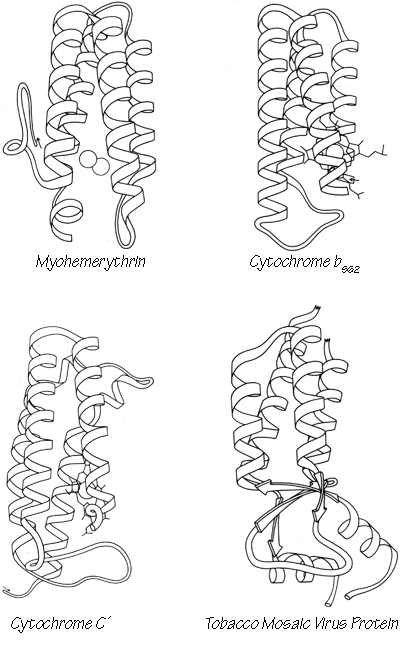 Fig 72-1