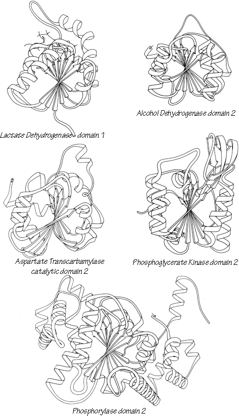 Fig 76