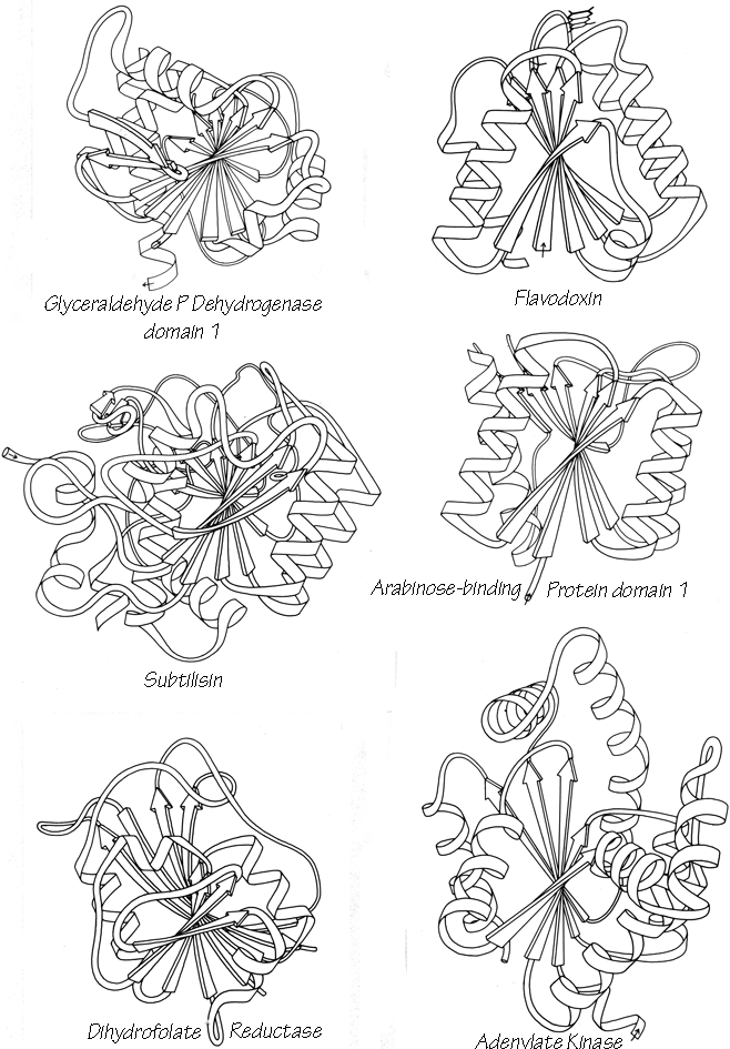 Fig 77-1