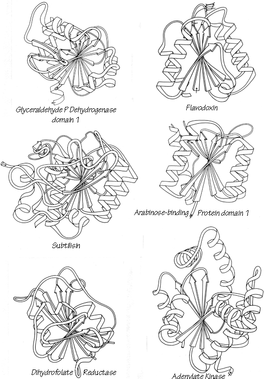 Fig 77-1