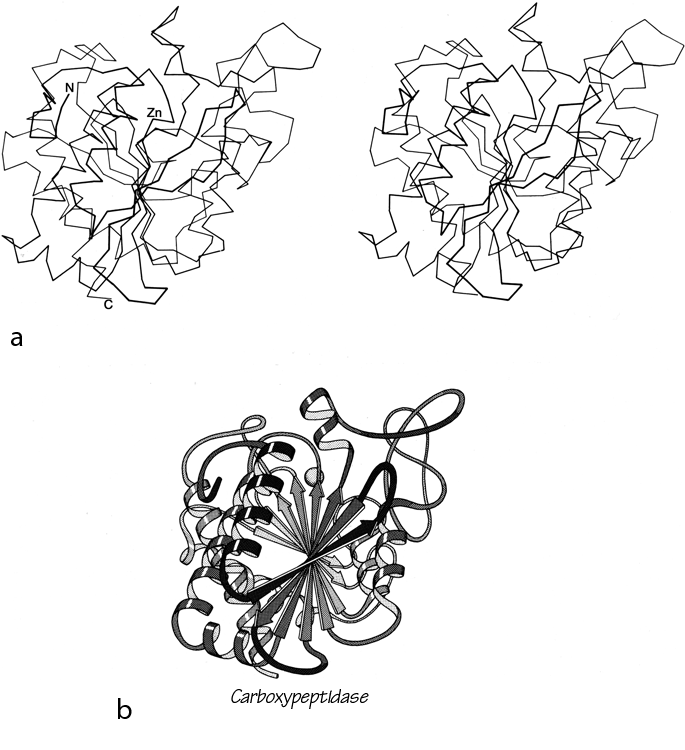 Fig 94