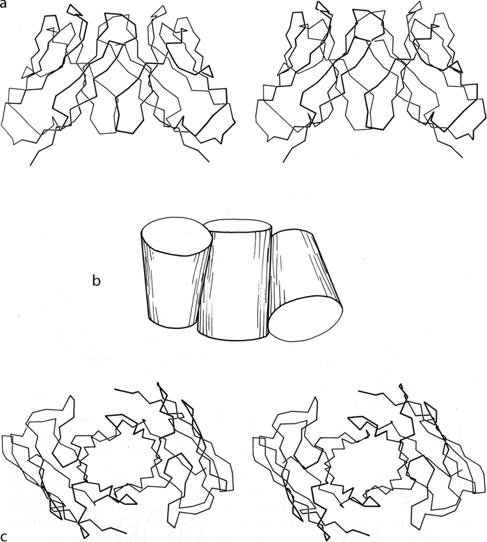 Fig 101