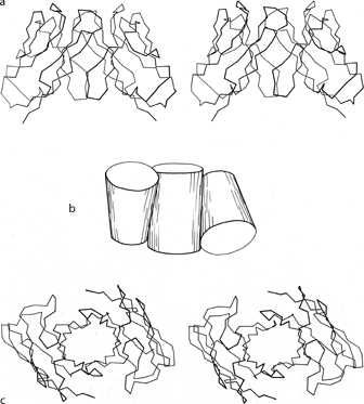 Fig 101