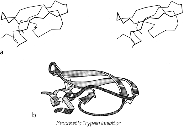 Fig 103