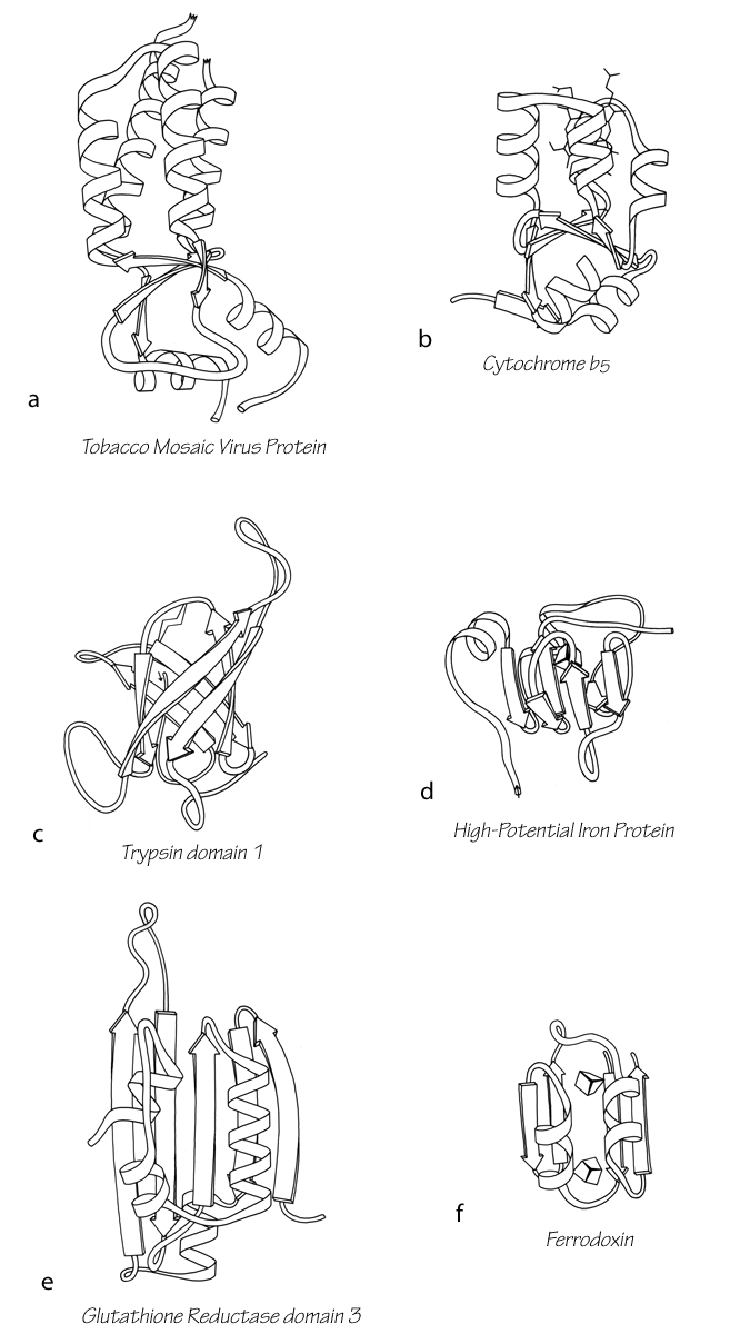 Fig 105